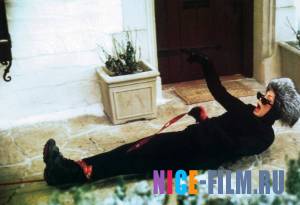 Один дома 3 (1997)