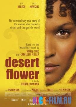 Цветок пустыни (2009)