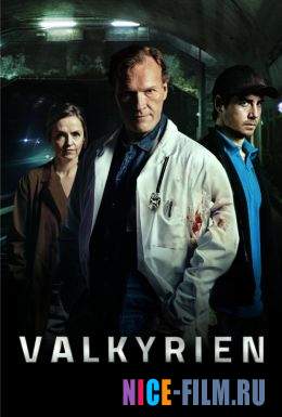 Валькирия (2017)