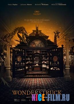 Мир, полный чудес (2017)