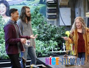 Раскосяченные (2017)